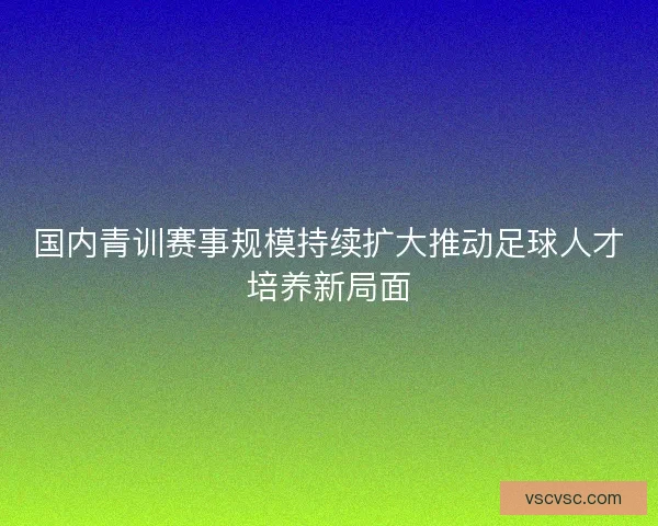 国内青训赛事规模持续扩大推动足球人才培养新局面